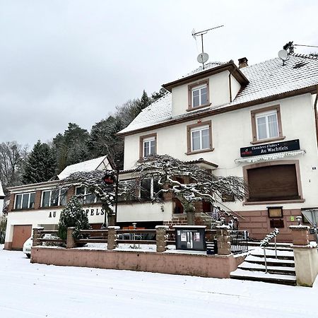 Au Wachtfels Acomodação com café da manhã Obersteinbach Exterior foto