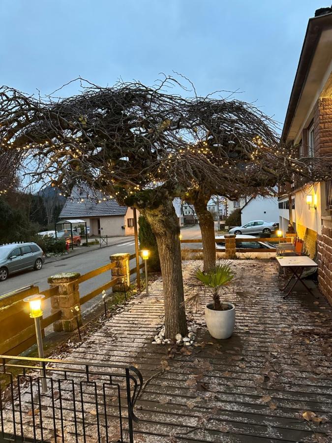 Au Wachtfels Acomodação com café da manhã Obersteinbach Exterior foto